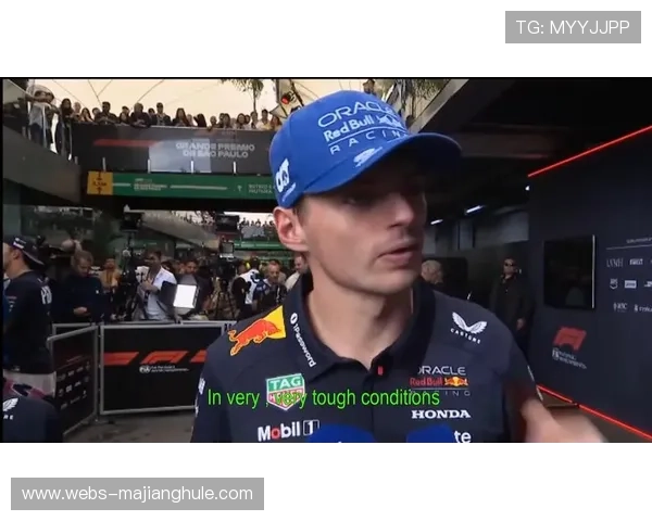 维斯塔潘的巴西魔法:两届赛事29位次超越诠释逆袭美学 维斯塔潘的巴西魔法:两届赛事29位次超越诠释逆袭美学